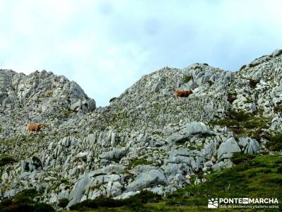 Hayedos Parque Natural de Redes;parques naturales madrid viajes en septiembre rutas la pedriza